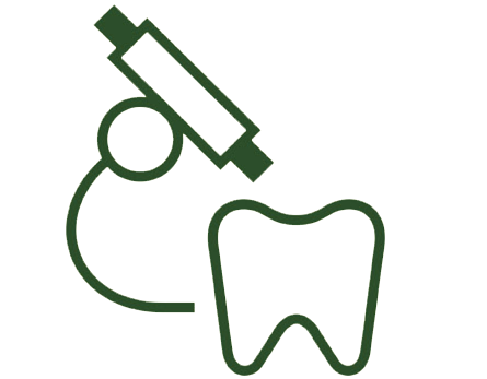icono-endococncia-microscopia-clinica-amaranta